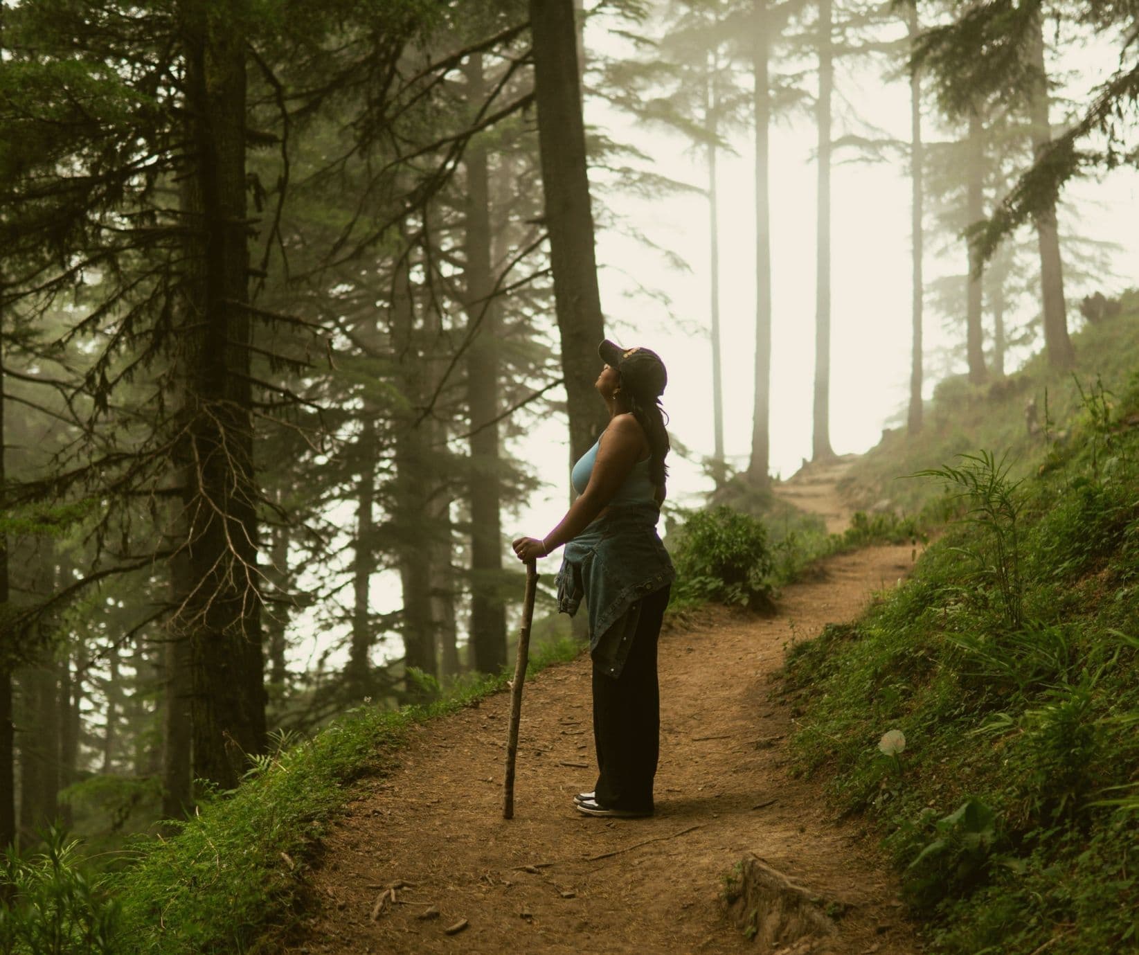 Hiking the Corfu Trail: What You Need to Know: The complete guide