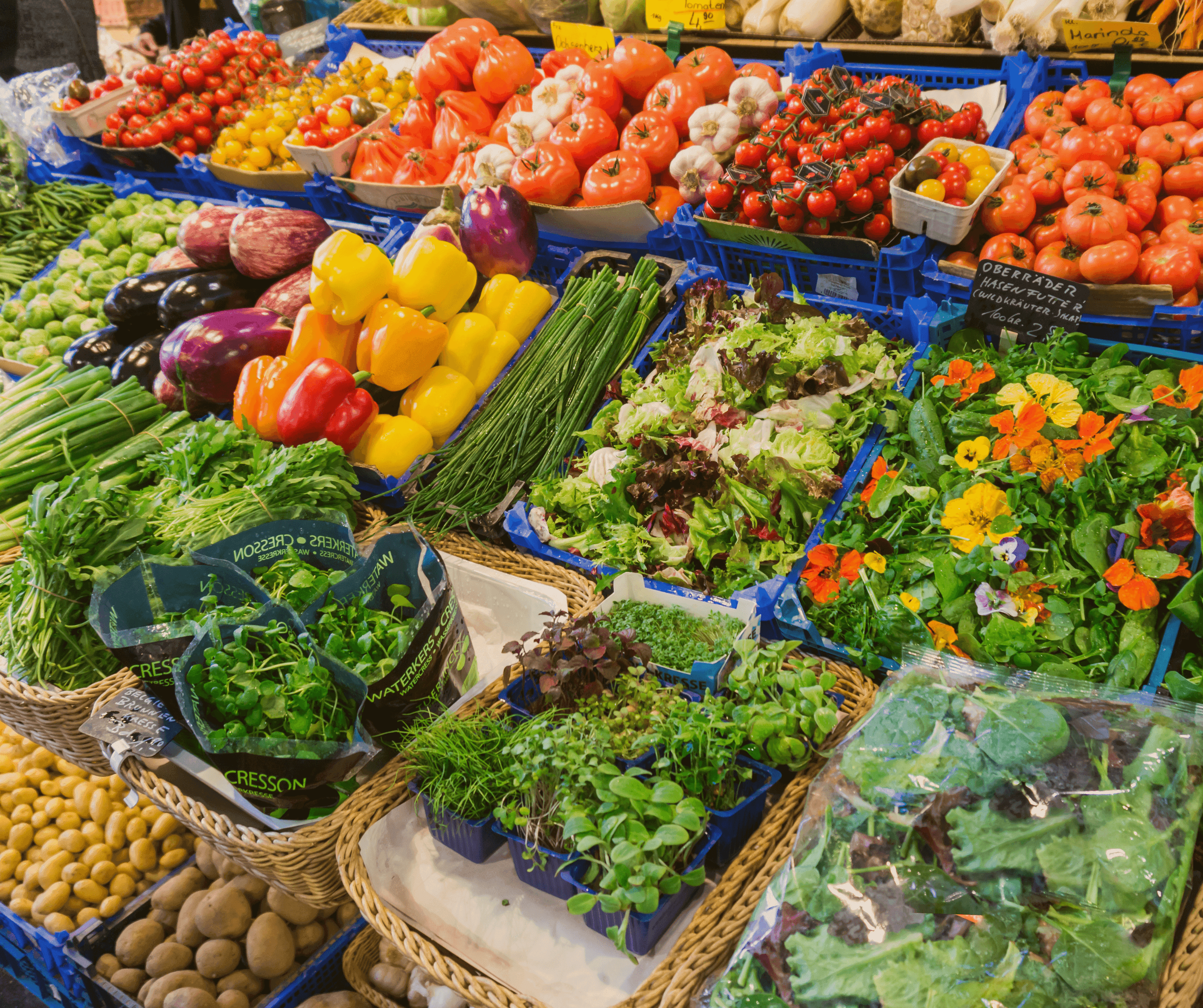 A Feast for the Senses: A Guide to Corfu’s Local Markets