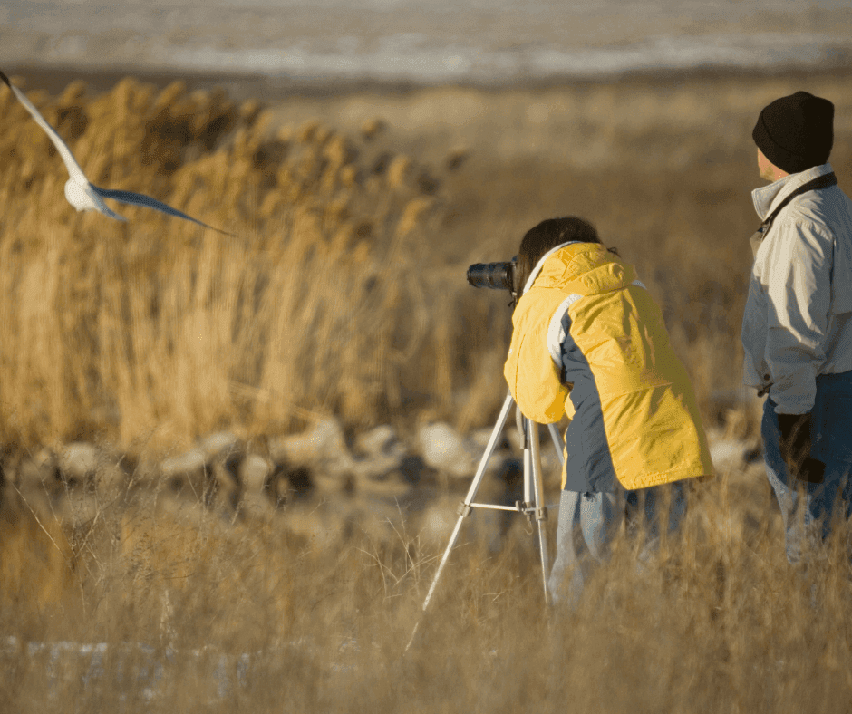 Blog cover image