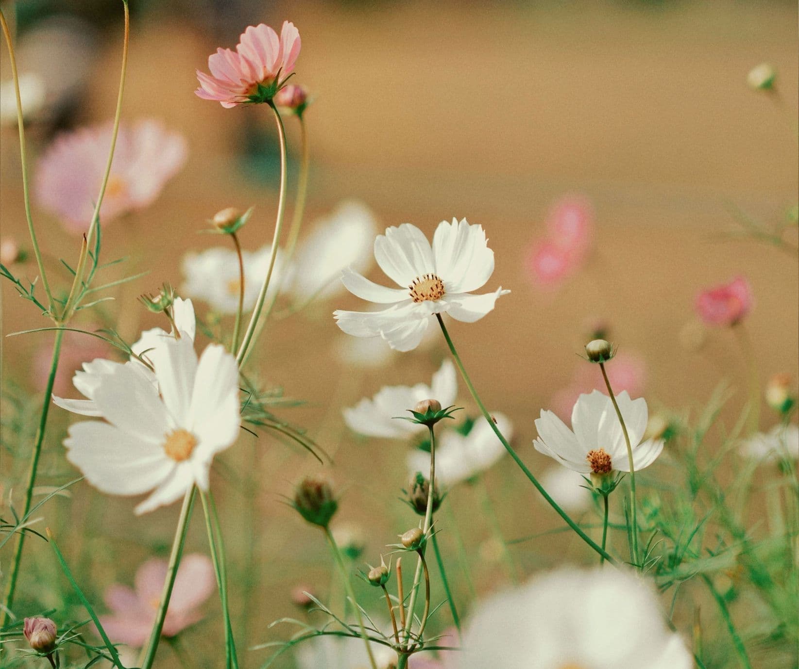 Blog cover image
