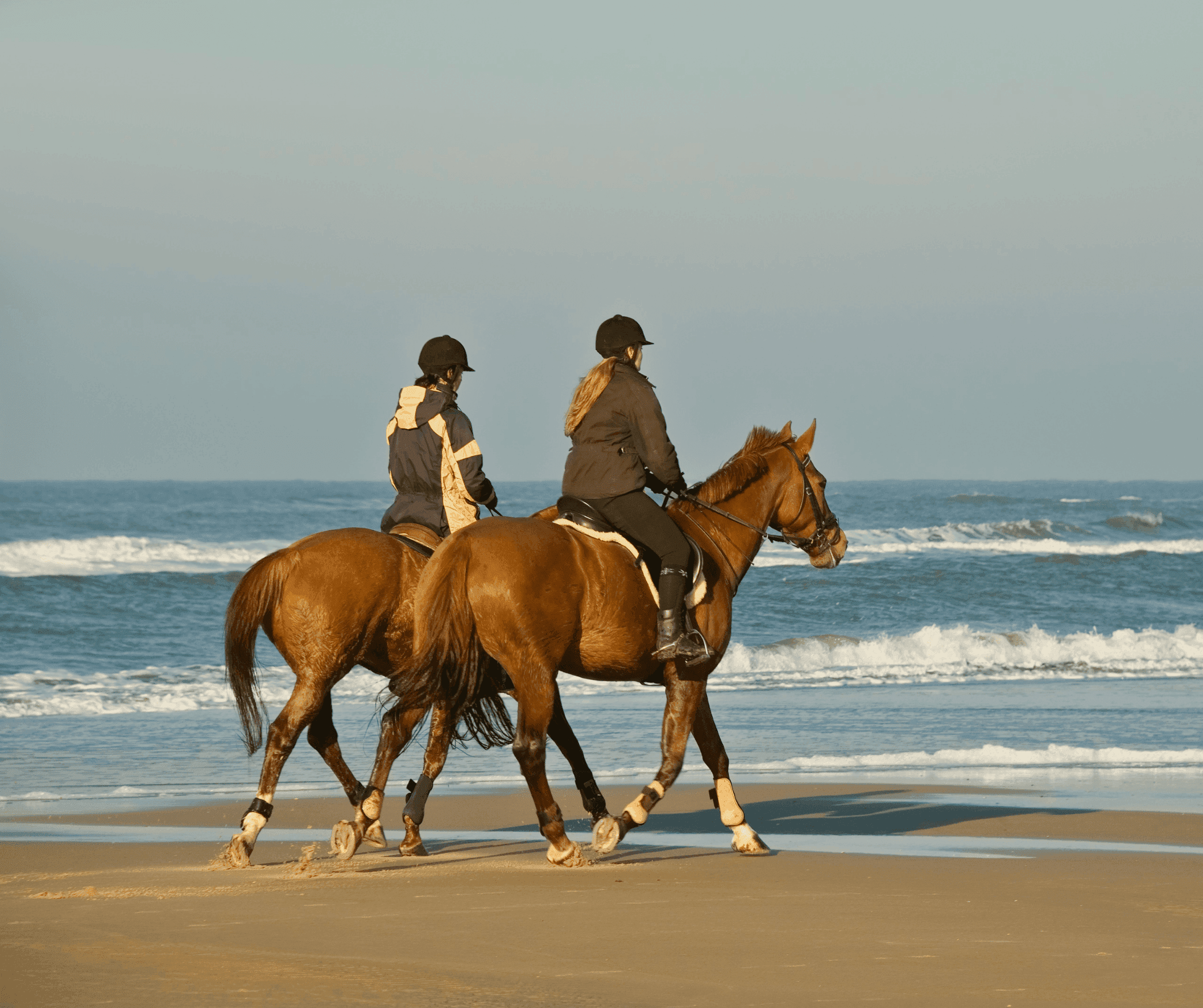 Horse Riding at Halikounas Beach: An Unforgettable Seaside Experience